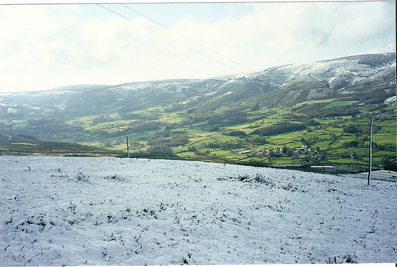 Millares 1999