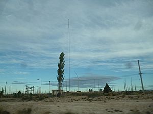 Archivo:Molinos Loma Blanca, Chubut 01