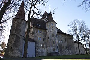 Archivo:Nidau Castle - panoramio (22)