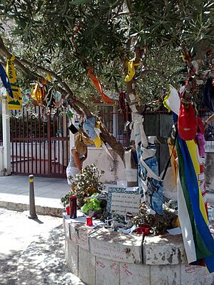 Archivo:Paolo Borsellino tree