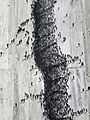 Pejac-Distancia Social (detail) 2