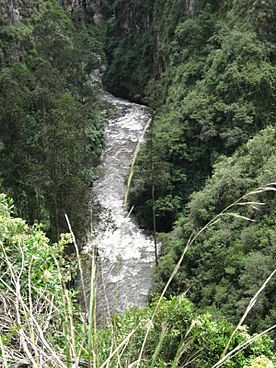 Archivo:Río Guáytara, sector Las Lajas (Nariño-Colombia)
