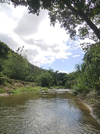 Río Pacairigua.JPG
