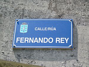 Archivo:Rúa Fernando Rey.001 - A Coruña