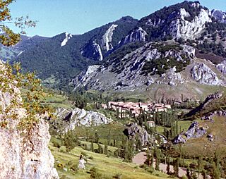 Remolina.jpg