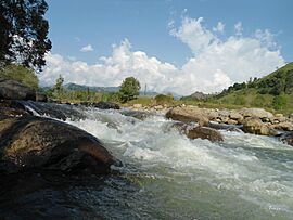 Rio en la carretera de entrada a Salento - panoramio (3).jpg