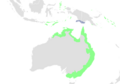 Rufous Fantail range