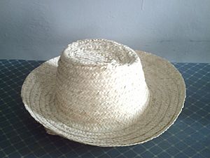 Archivo:Sombrero de cogollo1