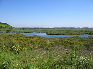 Archivo:Srebarna-Lake
