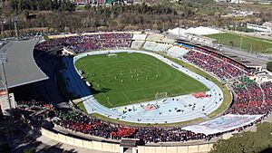Archivo:Stadio San Vito-Marulla - Cosenza