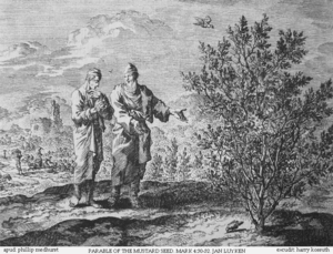 Archivo:Teachings of Jesus 5 of 40. parable of the mustard seed. Jan Luyken etching. Bowyer Bible