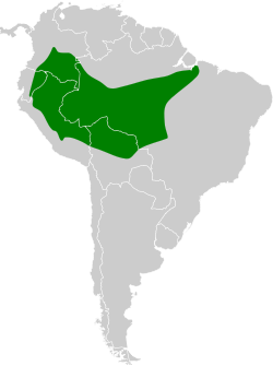 Distribución geográfica del batará alillano.