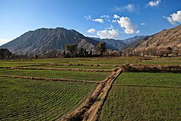 Archivo:Valley in Kunar-2012