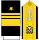 Vicealmirante Marina de Guerra Dominicana (Mango y Pala).svg