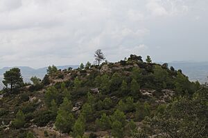 Archivo:2018.08.16. Castell Carbonara (37)