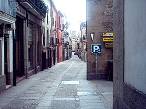 Archivo:A street in Plasencia