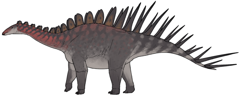 Alcovasaurus longispinus