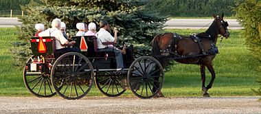 Archivo:Amish people