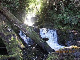 Aysén, XI Región, Chile - panoramio (2).jpg