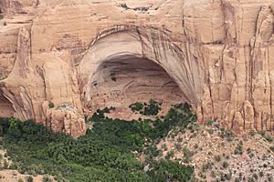 Archivo:Betatakin Ruin Navajo National Monument