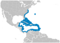 Blue Parrotfish Scarus coeruleus distribution map