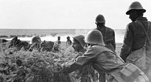 Archivo:Bundesarchiv Bild 101I-218-0501-27, Russland-Süd, rumänische Soldaten