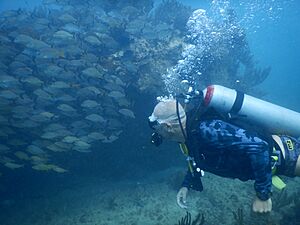 Archivo:Buzo SCUBA en Bocana, Parque Nacional Arrecife de Puerto Morelos