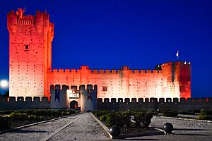 Archivo:Castillo de la Mota - Noche
