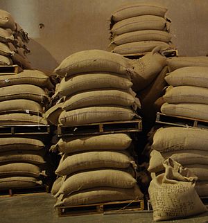 Archivo:Coffee beans at Longbottom - Hillsboro, Oregon