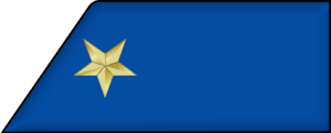 Archivo:Confederate States of America Major-Marines