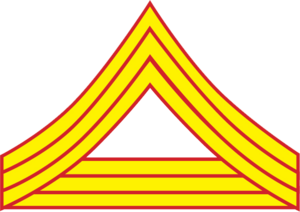 Archivo:Confederate States of America Quartermaster Sergeant-Marines