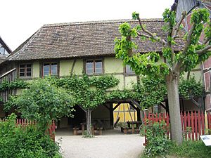 Archivo:Ecomusée Alsace 64