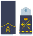 Ejerairedivies27