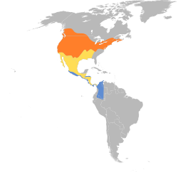 Distribución geográfica del mosquero saucero.