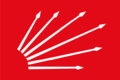 Flag of the Republican People's Party (Turkey)