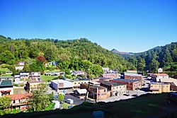 Fleming-Neon-from-Potter-ky.jpg