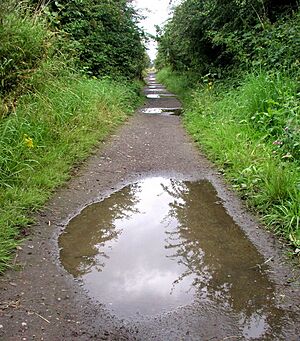 Archivo:Half Puddled Trackbed - geograph.org.uk - 913308