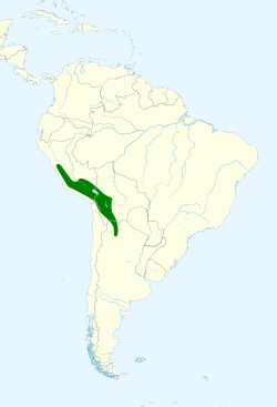 Distribución geográfica de la golondrina andina.