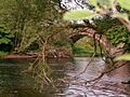 Hoddom Bridge