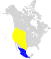 Icterus bullockii map