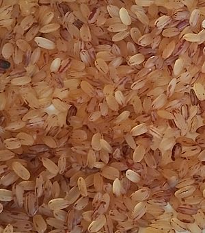 Archivo:Kerala matta rice