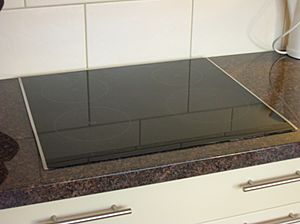 Archivo:Kookplaat inductie