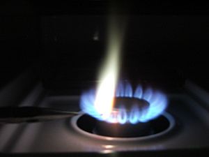 Archivo:Lead powder burning (5)