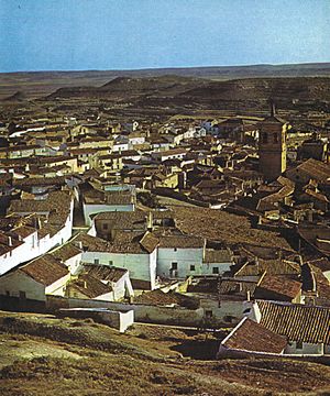 Archivo:ManchaChinchilla