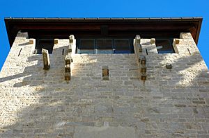 Archivo:Monestir de Sant Cugat - Palau abacial - detall elements defensius