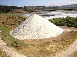 Archivo:Montículo de Sal en Cahuil