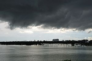 Archivo:Nalban - Kolkata 2011-09-14 5165