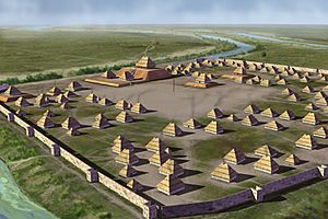 Archivo:Parkin Mounds Aerial HRoe 2016