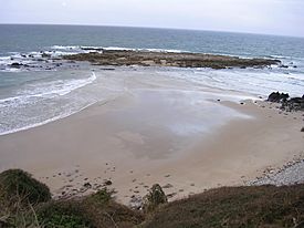 Playa de Amio.jpg