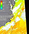 Pre-Hurricane Bob Sea Surface Temperature